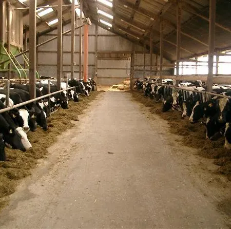 Bauernhof Am Wattenmeer, Fewo Bauerngarten * Osterhever